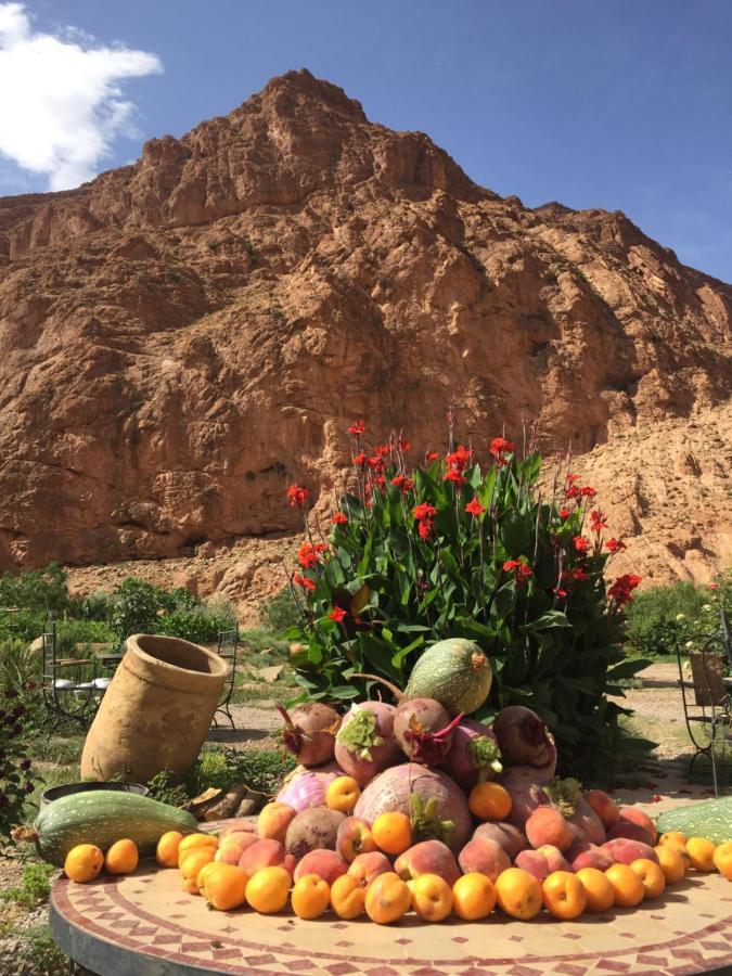 Le Festival Todra Gorge 2* Aït Baha