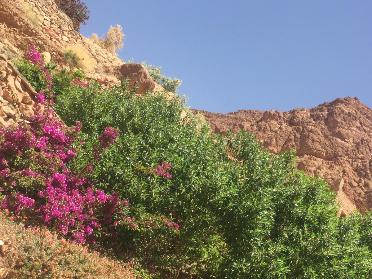 Le Festival Todra Gorge 2*