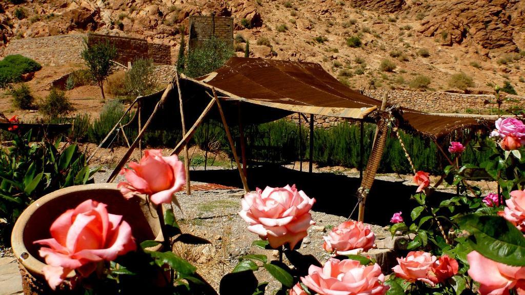 Le Festival Todra Gorge Hotel 2*